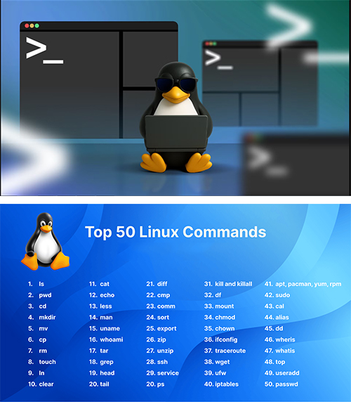 Linux Course